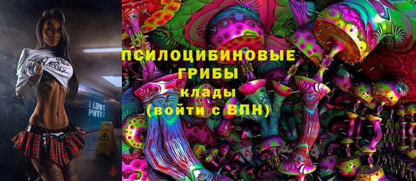 метадон Дмитриев