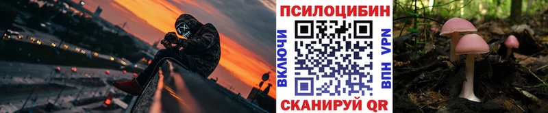 blacksprut ССЫЛКА  Можайск  Псилоцибиновые грибы GOLDEN TEACHER 